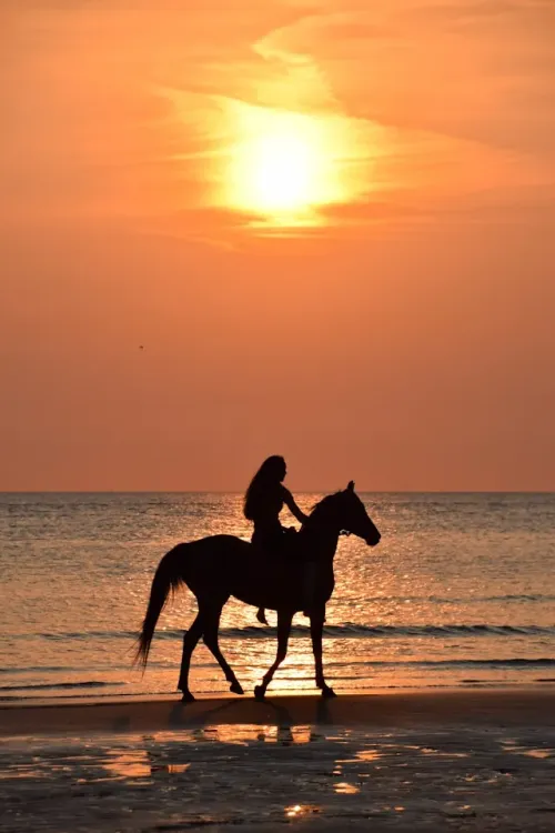 Horseback Riding in Nosara