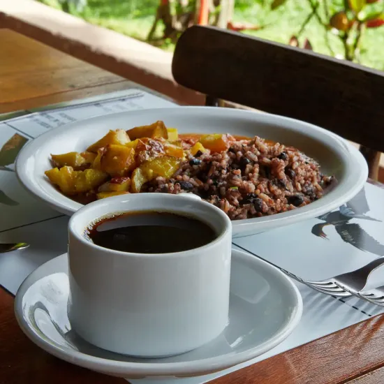 Traditional Guanacastean Food
